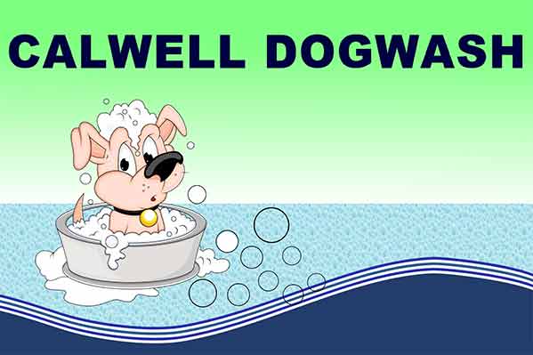 dogwash s